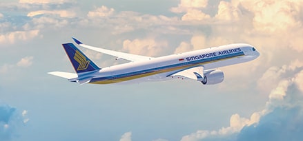 plane in air