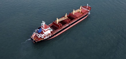Bulk carrier ship