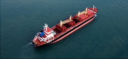 Bulk carrier ship
