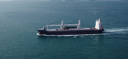 bulk carrier ship viewed 