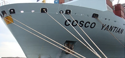 Cosco Yantian container ship