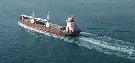 Heavy load carrier ship