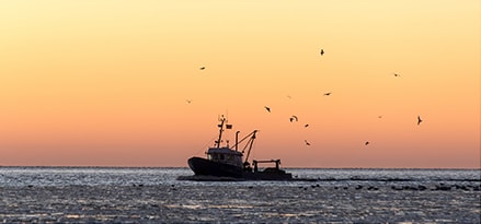 Tugboat in the sunset