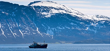 ship in icy water
