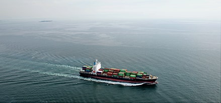 Leo Perdana container ship in the ocean
