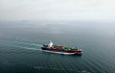 Leo Perdana container ship in the ocean