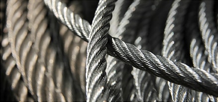 Rotary screw