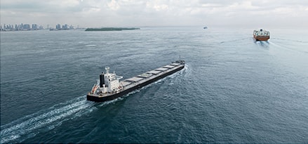 Marine bulk carrier key light ship
