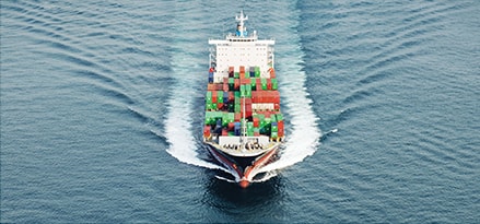 Leo Perdana Panana container ship
