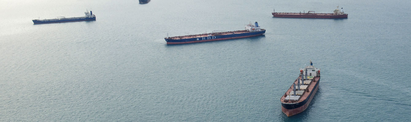 Amber bulk carrier ship geared Amber bulk carrier ship geared