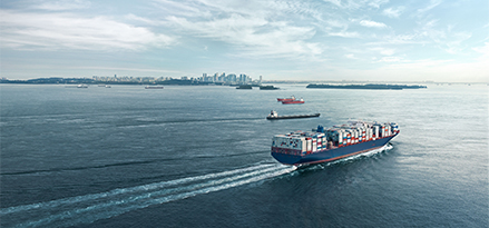 A large container ship sails through a wide bay with several other vessels visible in the distance