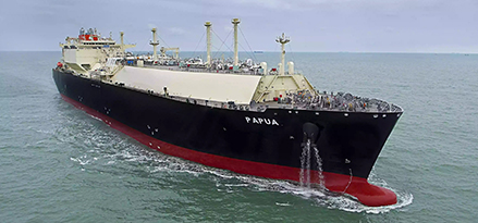 Papua Ship