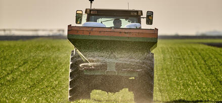 The image shows a tractor moving through a green agricultural field, spreading fertilizer or another substance over the crops. The machine is viewed from behind, with large tires and a hopper mounted on the back that distributes the material evenly. The sun appears to be low in the sky, casting a warm golden light across the scene. There are bags of material placed on the hopper, and the field stretches out into the distance, showcasing well-maintained rows of crops. The environment suggests efficient, modern farming practices.